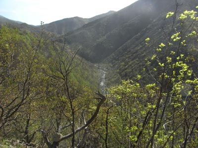 Moto Club Valle Argentina - Motoraduno a S.Margherita Ligure