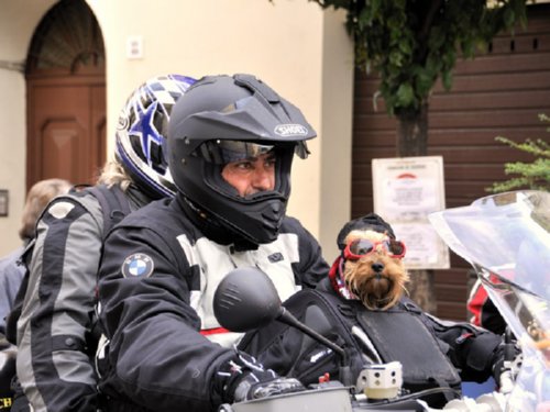 Moto Club Valle Argentina - Taggia