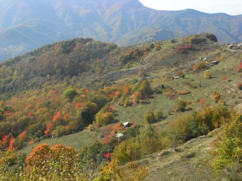 Moto Club Valle Argentina - Taggia