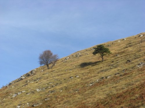 Moto Club Valle Argentina - Taggia