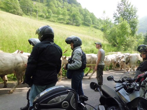 Moto Club Valle Argentina - Taggia