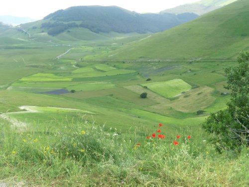 Moto Club Valle Argentina - Taggia